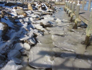 ... , mistrust, and hostility to evaporate.