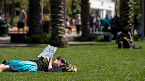 college campus, campus, college, student, reading, field