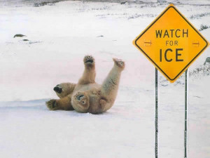 Sliding on the Ice
