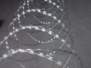 price razor wire fence razor barbed wire concertina razor wire
