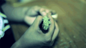 animated marijuana pics/roll_it_up.gif