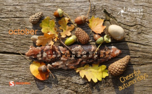 EKİM 2012”Masaüstü İçin Takvim Duvar Kağıtları