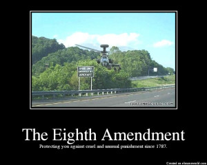 Remember the 8th amendment to the US constitutiton .
