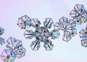 Snowflake Quotes Snowflake quote 1