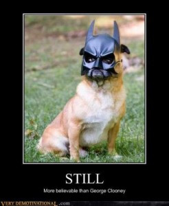 Funny Dog Pictures Bat Signal