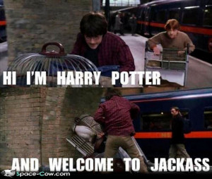 funny celebrities Harry Potter