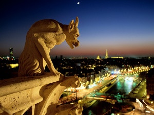 picture of a gargoyle on notre dame cathedral at night paris france
