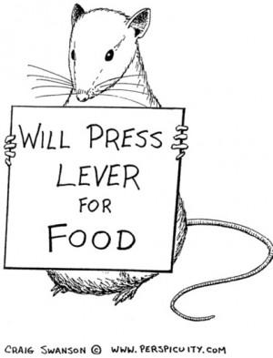 Stuur je mooiste mobiele vakantiefoto op met dit formulier en maak ...