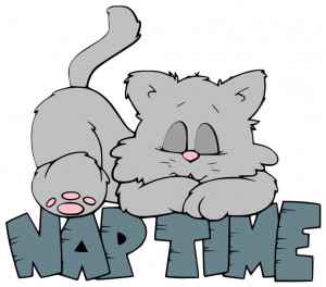 love a good nap now and then especially if I didnt sleep well the ...