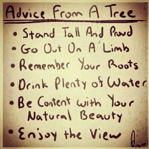 limb remember your roots drink plenty of water be content with your ...