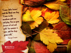 ... to a beautiful Saturday, and your First Day of Autumn 2012. Enjoy