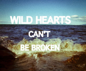 Wild Hearts Can’t Be Broken