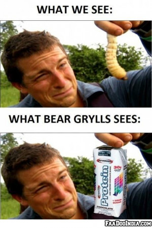 What we see, What Bear Grylls sees