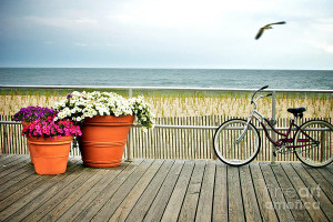 bicycle-on-the-ocean-city-new-jersey-boardwalk-melissa-ross.jpg