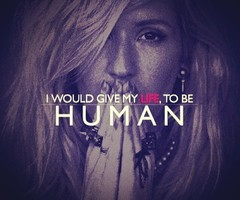 Gabriela Hald Follow 11 months ago