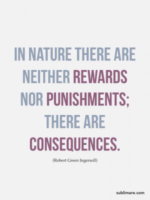 ... there are neither rewards nor punishments; there are consequences