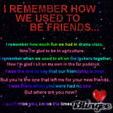 Remember How We Used To Be Friends