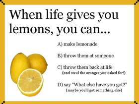 fat people should eat cake for breakfast the sarcasmist