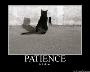 PATIENCE !!!