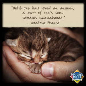 ... one's soul remains unawakened.