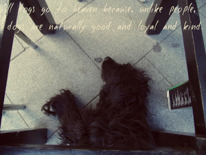 dogs,quotes,all,dogs,go,to,heaven,,1989,,dog,freedom,goodby ...