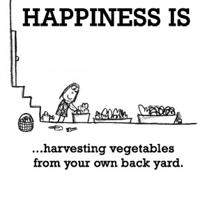 Happiness is, harvesting vegetables from your own back yard.