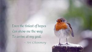 Even the tiniest of hopes can show me the way to arrive at my goal