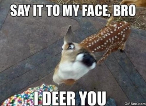 Deer You