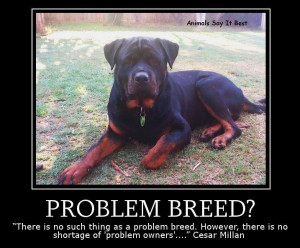 Ignorant people are the problem. There are some small breeds that can ...