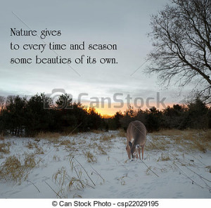 Inspirational quote on nature by Charles Dickens with a lone doe ...