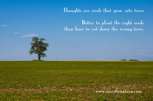 Thoughts are Seeds