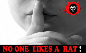 Snitches Gif 'stop snitching' leaflets