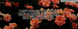 can't promise that things won't be broken, but I swear that I will ...