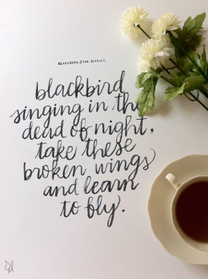 Blackbirds | The Happy Candle | Bloglovin'