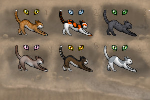 Chicken Smoothie Warrior Cats