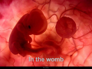 Um feto de poucas semanas encontra-se no interior do útero de sua ...