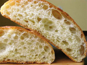 Thread: Ciabatta bread