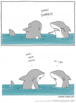 we're sharks dude animal comic funny pics pictures pic picture image ...