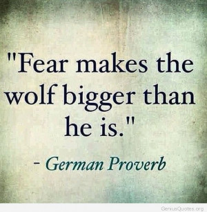 German proverb