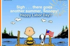 Funny Labor Quotes. QuotesGram