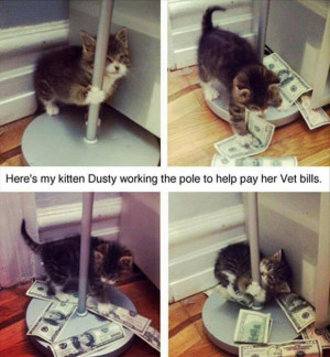 funny pics pictures pic picture image photo images photos lol humor