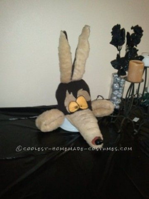 Fun Wile E. Coyote and Roadrunner Couples Costume