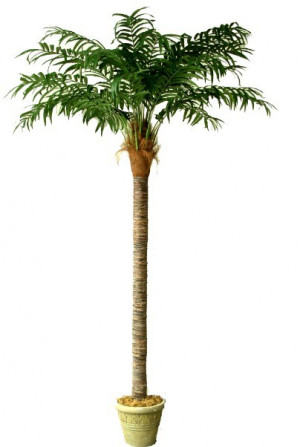 Artificial Coco Tree China