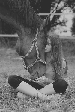 Horses Horses Horses | via Tumblr