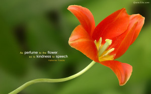 Flower Quotes HD Wallpaper 19