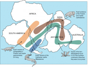 High School Earth Science/Continental Drift