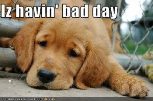 IT’S A ‘BLAH’ KIND OF DAY