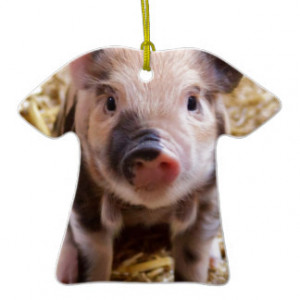 Cute Pic of a baby Pig Christmas Ornament