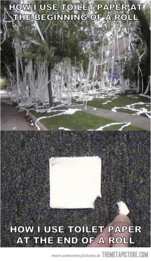 Funny photos funny toilet paper trees