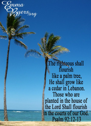 ... Bible Quotes, Palms Trees, Palm Trees, Secret Gift, Inspiration Bible